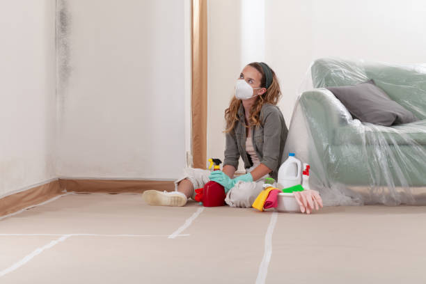 Reliable Black Mold Remediation contractor in Davidsonville, MD by Mold Remediation HQ